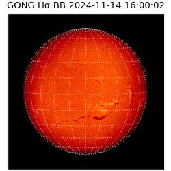 gong - 2024-11-14T16:00:02