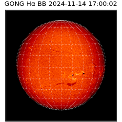 gong - 2024-11-14T17:00:02