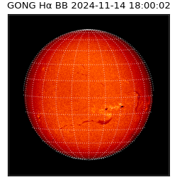 gong - 2024-11-14T18:00:02