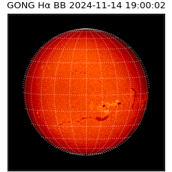gong - 2024-11-14T19:00:02
