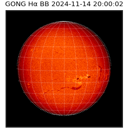 gong - 2024-11-14T20:00:02
