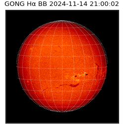 gong - 2024-11-14T21:00:02