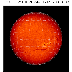 gong - 2024-11-14T23:00:02