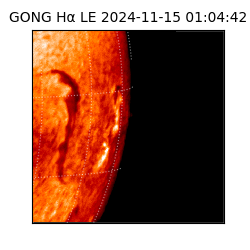 gong - 2024-11-15T01:04:42