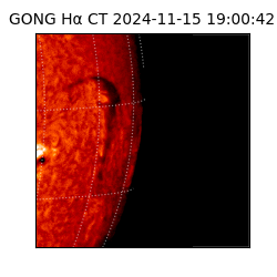 gong - 2024-11-15T19:00:42