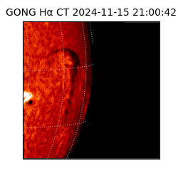 gong - 2024-11-15T21:00:42