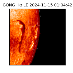 gong - 2024-11-15T01:04:42