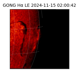 gong - 2024-11-15T02:00:42