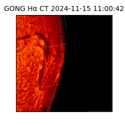 gong - 2024-11-15T11:00:42