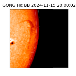 gong - 2024-11-15T20:00:02