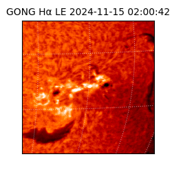 gong - 2024-11-15T02:00:42