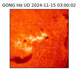 gong - 2024-11-15T03:00:02