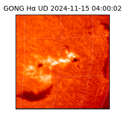 gong - 2024-11-15T04:00:02