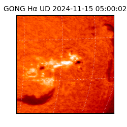 gong - 2024-11-15T05:00:02