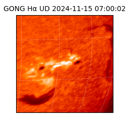 gong - 2024-11-15T07:00:02