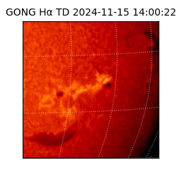 gong - 2024-11-15T14:00:22