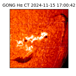 gong - 2024-11-15T17:00:42