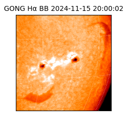 gong - 2024-11-15T20:00:02