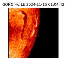 gong - 2024-11-15T01:04:42