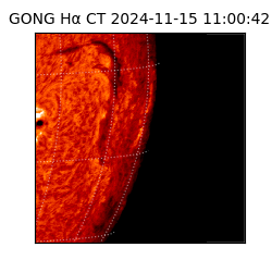 gong - 2024-11-15T11:00:42