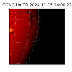gong - 2024-11-15T14:00:22