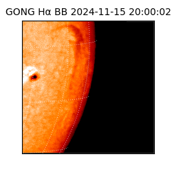 gong - 2024-11-15T20:00:02