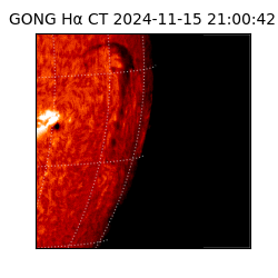 gong - 2024-11-15T21:00:42