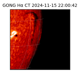 gong - 2024-11-15T22:00:42