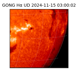 gong - 2024-11-15T03:00:02