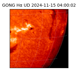 gong - 2024-11-15T04:00:02