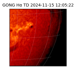 gong - 2024-11-15T12:05:22