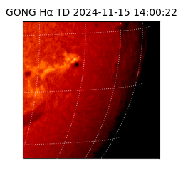 gong - 2024-11-15T14:00:22