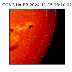 gong - 2024-11-15T18:10:02