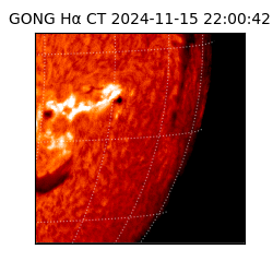 gong - 2024-11-15T22:00:42