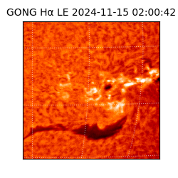 gong - 2024-11-15T02:00:42