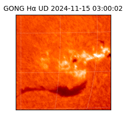 gong - 2024-11-15T03:00:02