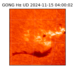 gong - 2024-11-15T04:00:02