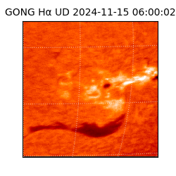 gong - 2024-11-15T06:00:02