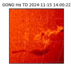 gong - 2024-11-15T14:00:22