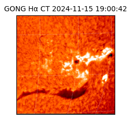 gong - 2024-11-15T19:00:42