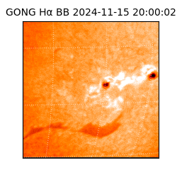 gong - 2024-11-15T20:00:02