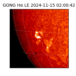 gong - 2024-11-15T02:00:42