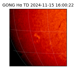 gong - 2024-11-15T16:00:22