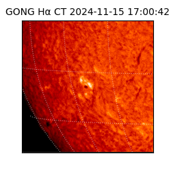 gong - 2024-11-15T17:00:42