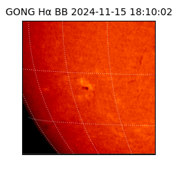 gong - 2024-11-15T18:10:02