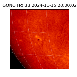 gong - 2024-11-15T20:00:02