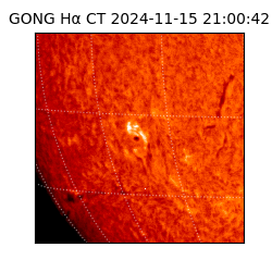 gong - 2024-11-15T21:00:42