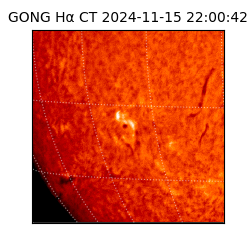 gong - 2024-11-15T22:00:42