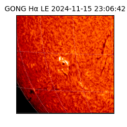 gong - 2024-11-15T23:06:42