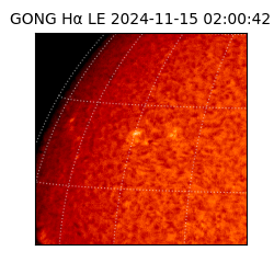 gong - 2024-11-15T02:00:42